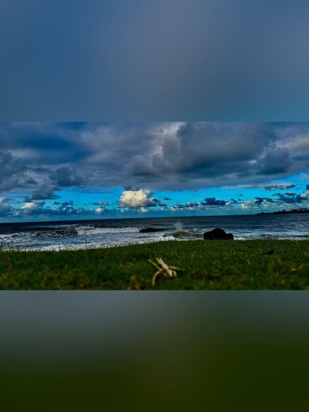 Original print Hilo Hawaii
